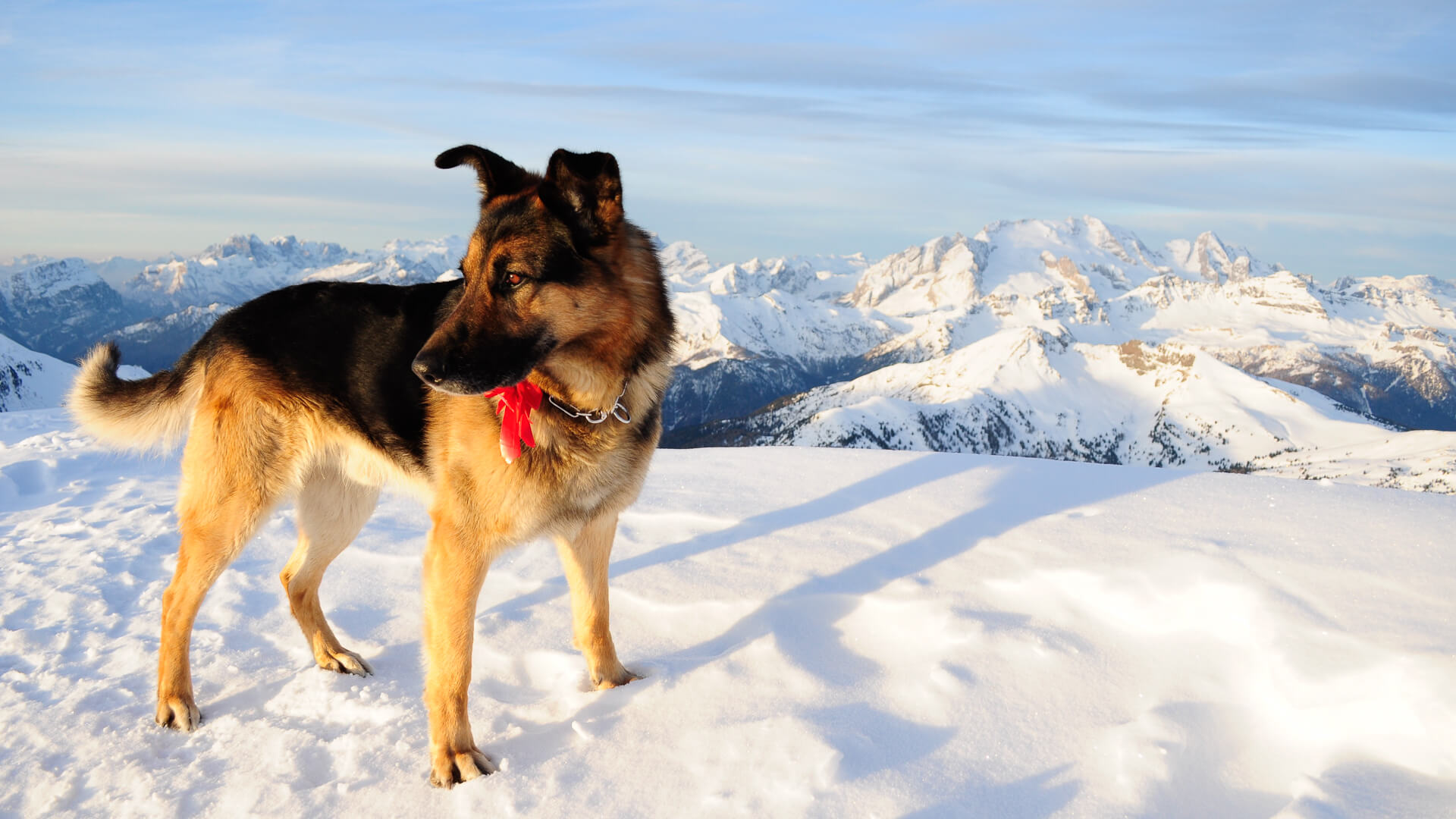 
Notice: Undefined variable: alt_key_wordsRecord in /home/fofo2559/public_html/summary_sydney.php on line 247
