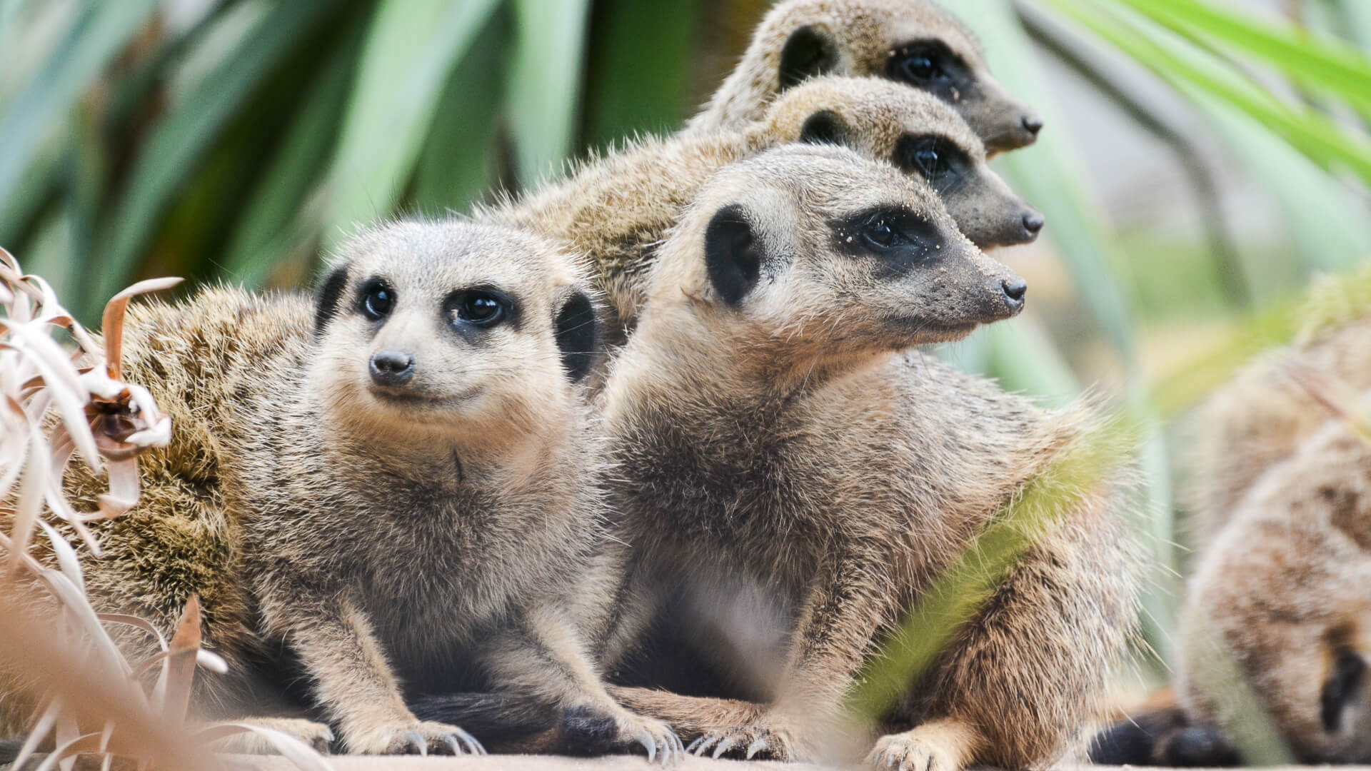 
Notice: Undefined variable: alt_key_wordsRecord in /home/fofo2559/public_html/summary_sydney.php on line 247
